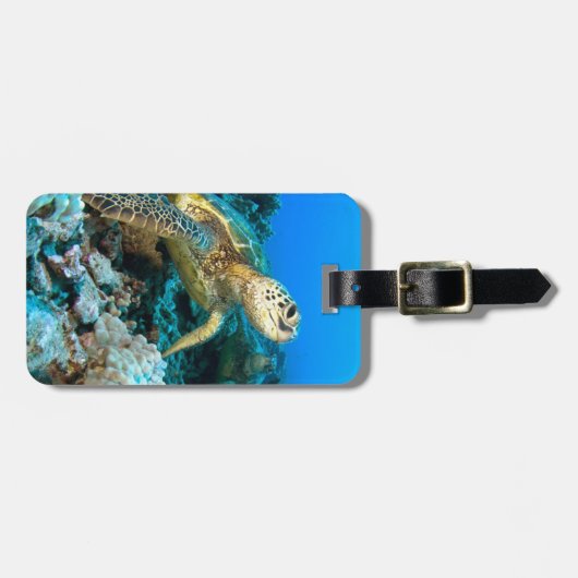 Turtle Pair Bagagelabel (Voorkant horizontaal)