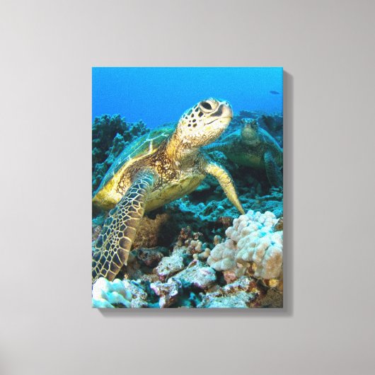 Turtle Pair Canvas Afdruk (Voorkant)