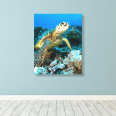 Turtle Pair Canvas Afdruk (Insitu (Houten vloer))