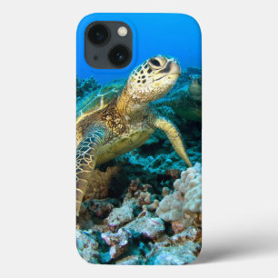 Turtle Pair iPhone 13 Hoesje