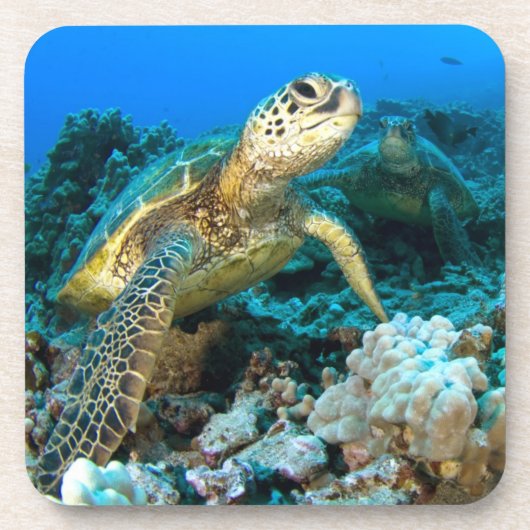 Turtle Pair Drankjes Onderzetter (Voorkant)