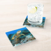 Turtle Pair Glazen Onderzetter (Schuin)
