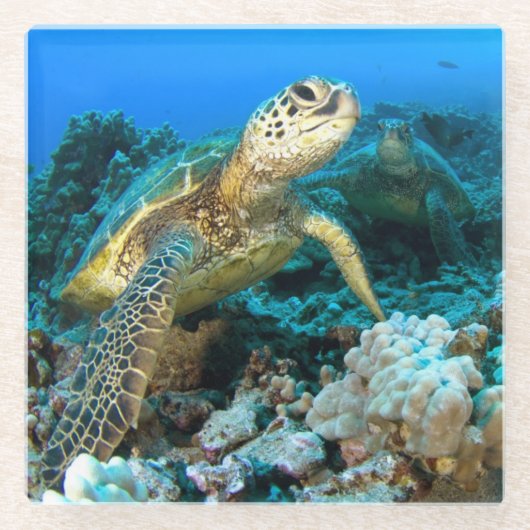 Turtle Pair Glazen Onderzetter (Voorkant)