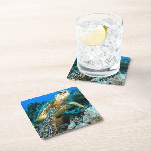 Turtle Pair Kartonnen Onderzetters (Insitu)