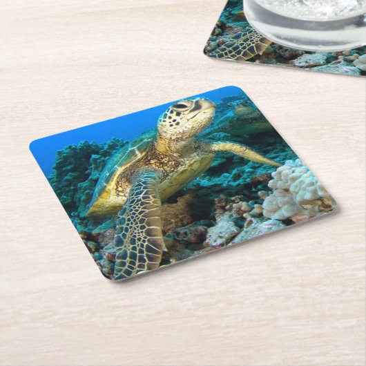 Turtle Pair Kartonnen Onderzetters (Schuin)
