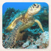 Turtle Pair Kartonnen Onderzetters (Voorkant)