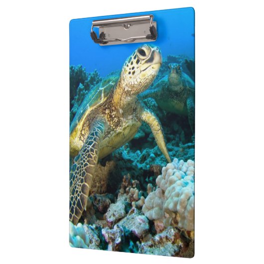 Turtle Pair Klembord (Links)