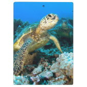 Turtle Pair Klembord (Achterkant)