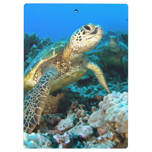 Turtle Pair Klembord (Achterkant)