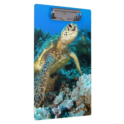 Turtle Pair Klembord (Rechts)