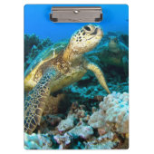 Turtle Pair Klembord (Voorkant)