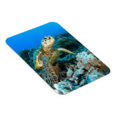 Turtle Pair Magneet (Rechterzijde)