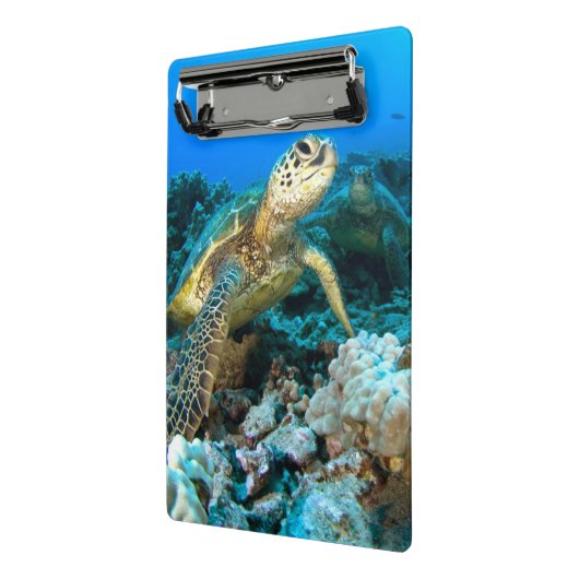 Turtle Pair Mini Klembord (Angled2)