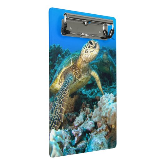 Turtle Pair Mini Klembord (Schuin)