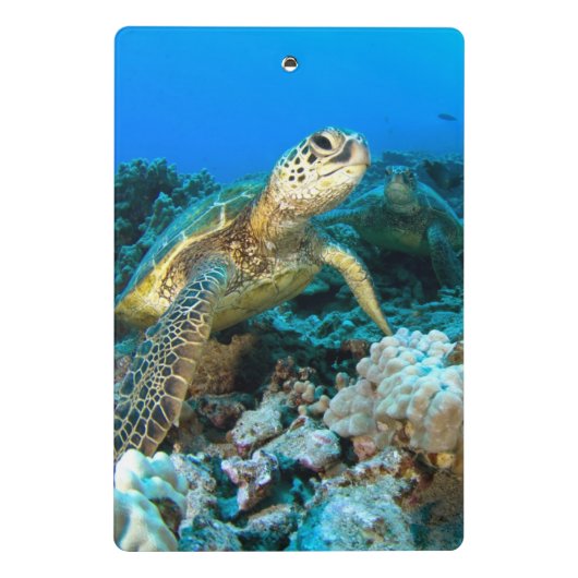 Turtle Pair Mini Klembord (Achterkant)