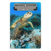 Turtle Pair Mini Klembord (Voorkant)