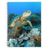 Turtle Pair Notitieboek (Voorkant)