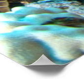 Turtle Pair Poster (Hoek)