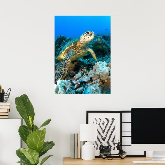 Turtle Pair Poster (Thuiskantoor)