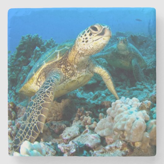 Turtle Pair Stenen Onderzetter (Voorkant)