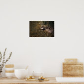 Turtle Photo Poster (Keuken)