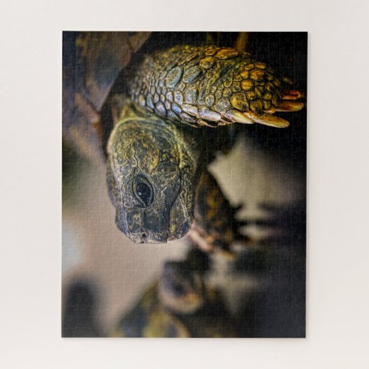 Turtle, puzzle legpuzzel (Verticaal)