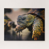 Turtle, puzzle legpuzzel (Horizontaal)