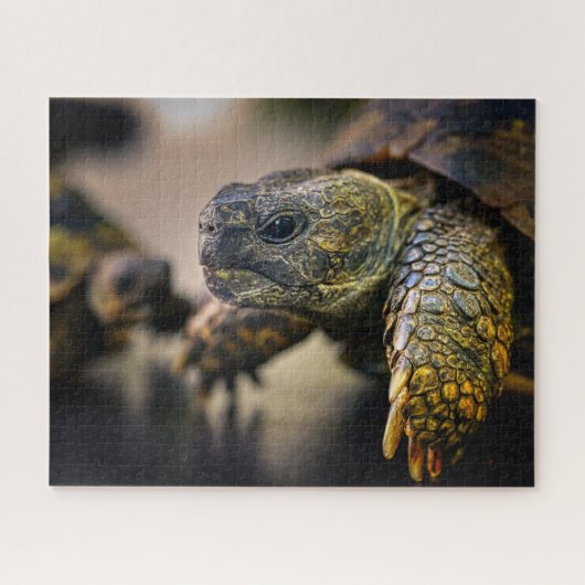 Turtle, puzzle legpuzzel (Horizontaal)