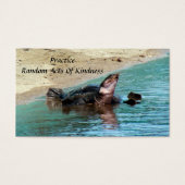 Turtle Random Acts of Kindness Kaart (Voorkant)