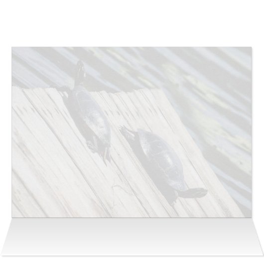 Turtle Rest (Binnen Horizontaal (Boven))