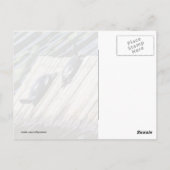 Turtle Rest Briefkaart (Achterkant)