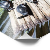 Turtle Rest Foto Afdruk (Hoek)