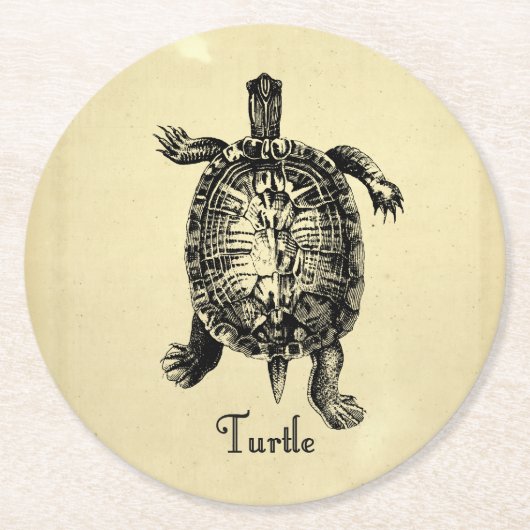  TURTLE RONDE KARTONNEN ONDERZETTER (Voorkant)