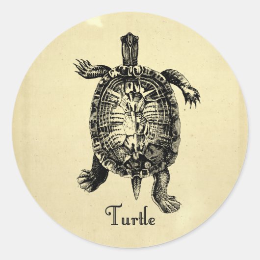 TURTLE RONDE STICKER (Voorkant)