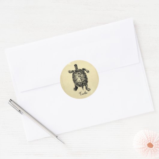 TURTLE RONDE STICKER (Envelop)