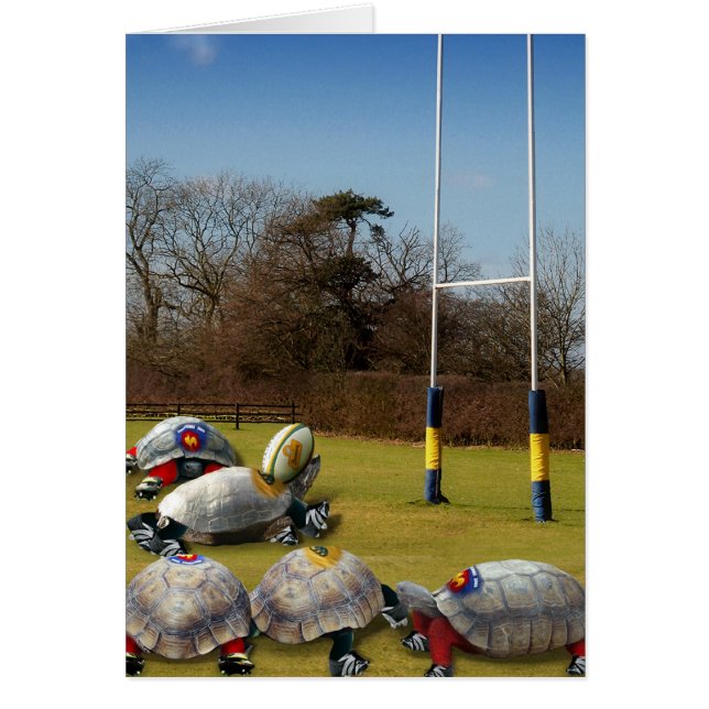 Turtle Rugby (Voorkant)
