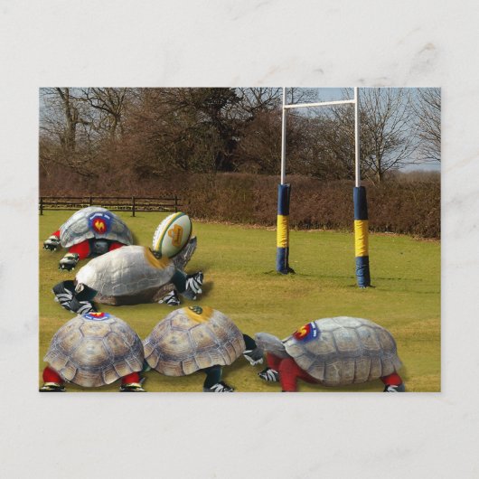 Turtle Rugby Briefkaart (Voorkant)