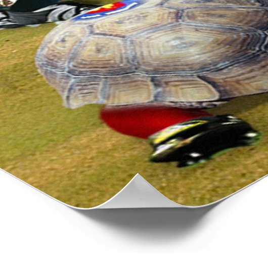 Turtle Rugby Poster (Hoek)