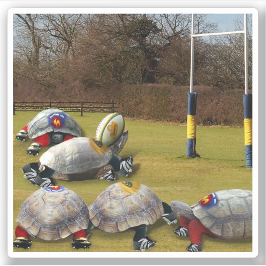Turtle Rugby Sport Sticker (Voorkant)