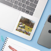 Turtle Rugby Sport Sticker (Laptop met iPhone)