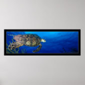 Turtle Seascape Poster (Voorkant)