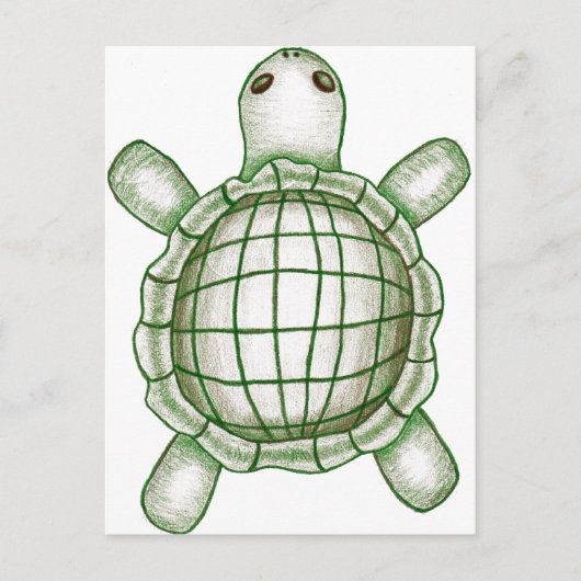 Turtle Sketch Briefkaart (Voorkant)