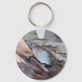 Turtle Sleutelhanger
