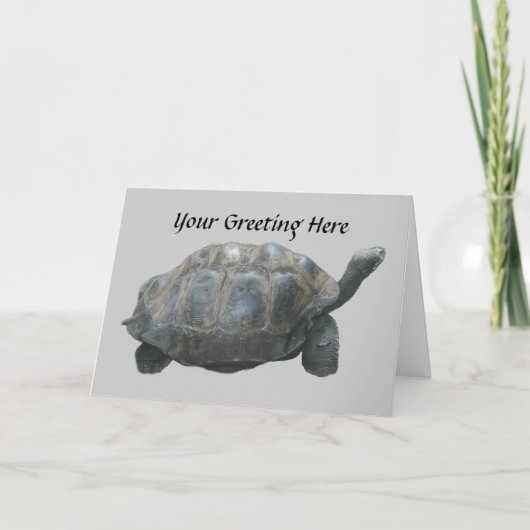 Turtle Slow Down Wenskaart Kaart (Voorkant)