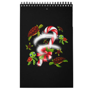 Turtle Snoep Sweet Kerstmis Kalender