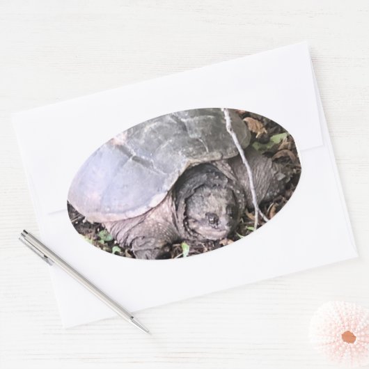 Turtle Sticker (Envelop)