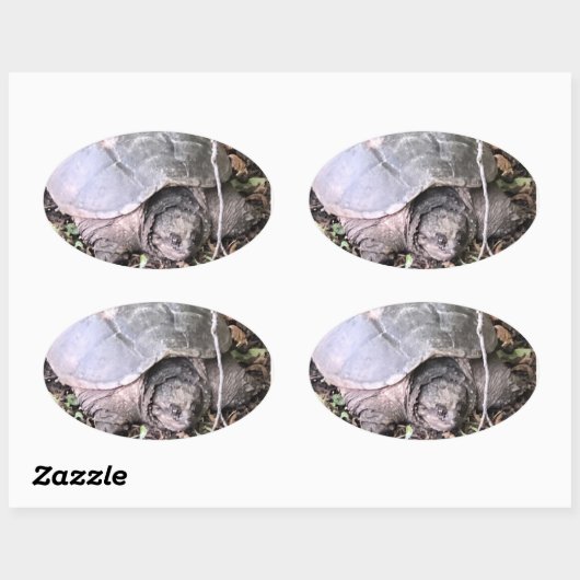 Turtle Sticker (Vel)
