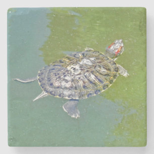 TURTLE Stone Onderzetter