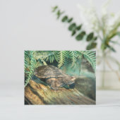 Turtle Sunning op log Briefkaart (Staand voorkant)