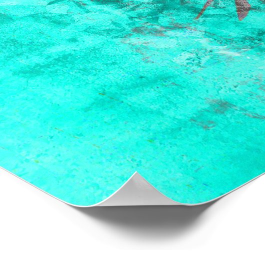 Turtle Teardrop 16 x 10 poster (Hoek)